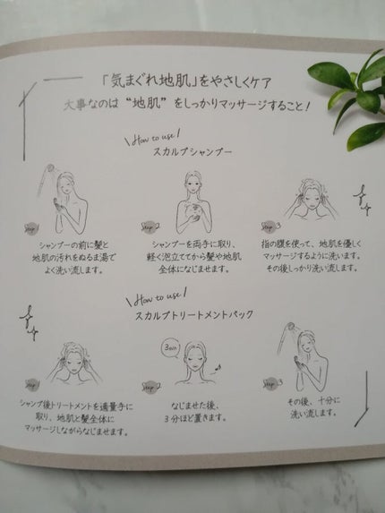 スカルプD ボーテ ナチュラスター スカルプシャンプー/トリートメントパック/アンファー(スカルプD)/シャンプー・コンディショナーを使ったクチコミ(2枚目)
