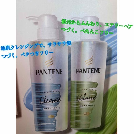 ãã¬ãã¢ã ãã¡ãŒãž ãªãã¢ãŒ ã·ã£ã³ããŒïŒããªãŒãã¡ã³ã/ãã³ããŒã³/ã·ã£ã³ããŒã»ã³ã³ãã£ã·ã§ããŒã䜿ã£ãã¯ãã³ãïŒ3æç®ïŒ