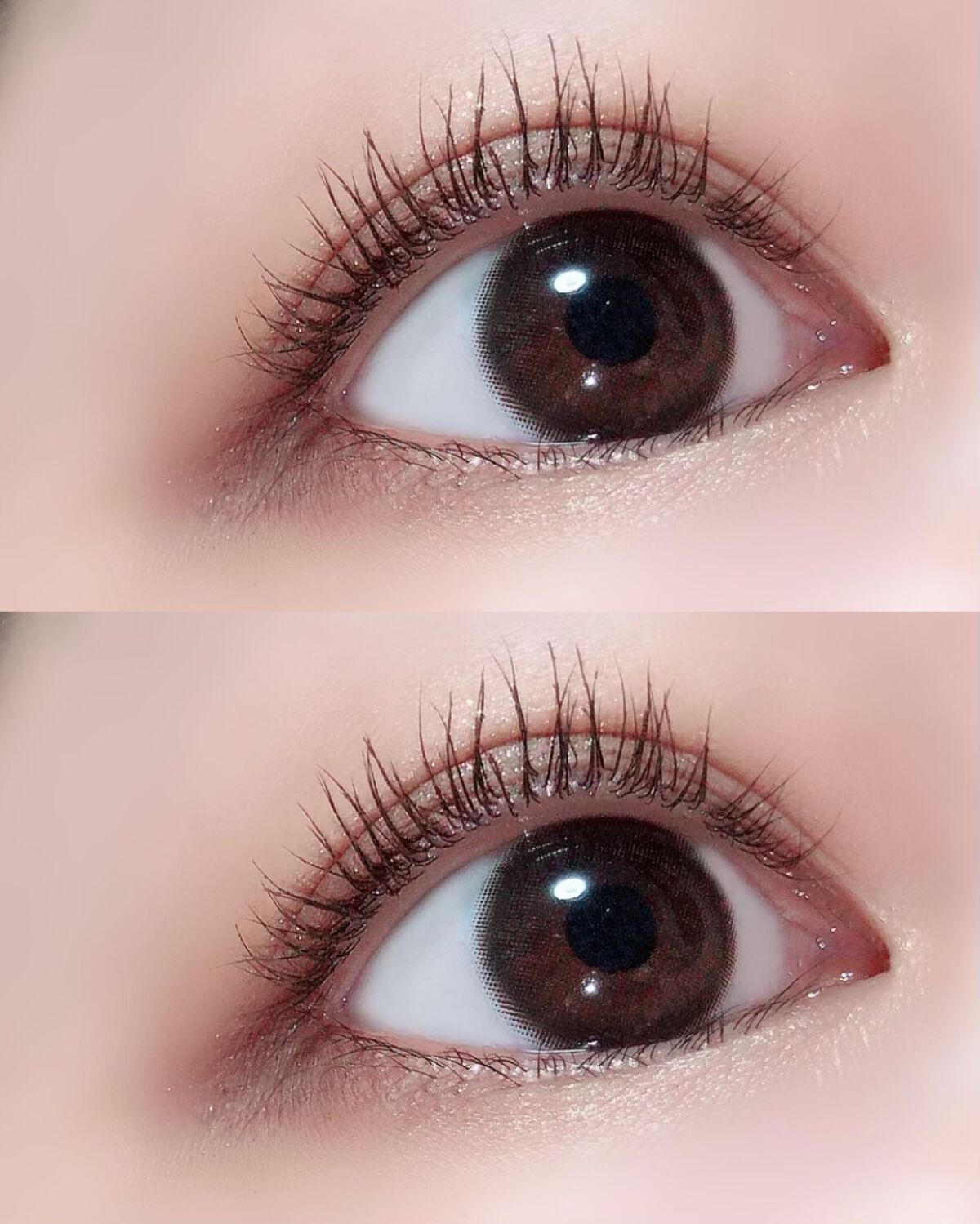 トラ十色アイシャドウパレット/COLORKEY/アイシャドウパレットを使ったクチコミ(6枚目)