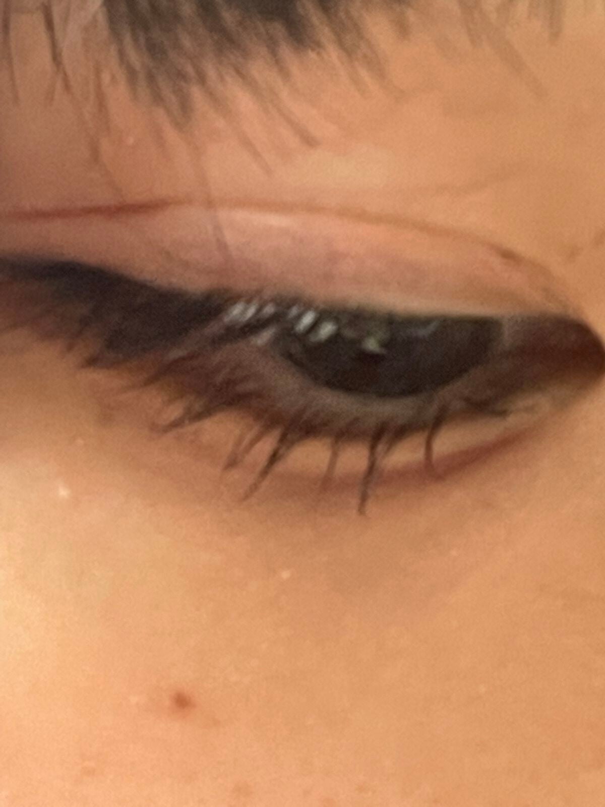 ぱすた on LIPS 「このアイメイクどう思いますか?────────────メイク初..」(3枚目)