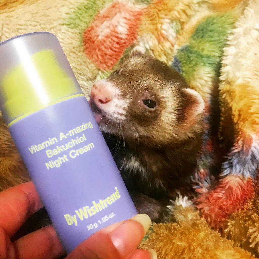 ビタミンA-mazingバクチオールナイトクリーム/By Wishtrend/フェイスクリームを使ったクチコミ(2枚目)