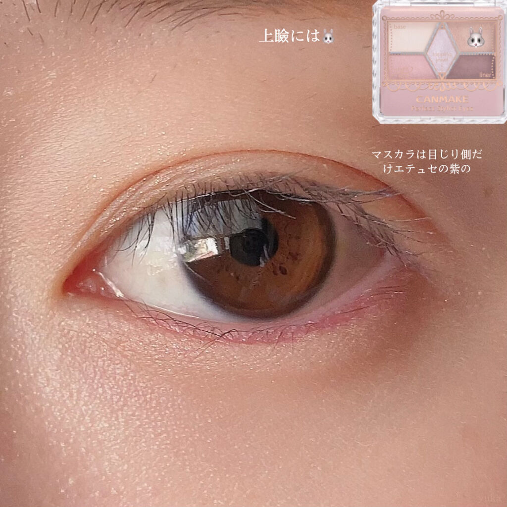 【旧品】パーフェクトスタイリストアイズ/キャンメイク/アイシャドウパレットを使ったクチコミ（3枚目）