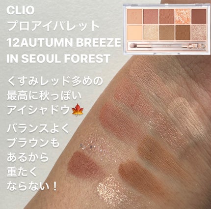 プロ アイ パレット/CLIO/アイシャドウパレットを使ったクチコミ(5枚目)