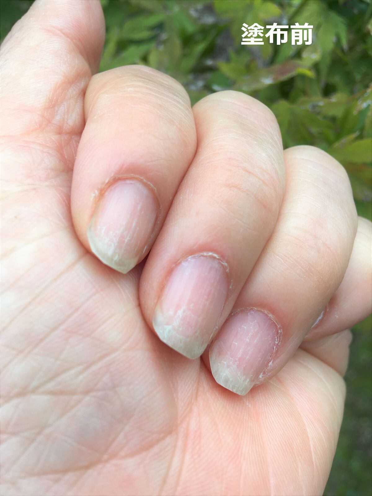 クイックスムージングベース ネイリストの口コミ コージー本舗さんよりモニターさせていただきました By Haruru 乾燥肌 50代後半 Lips クイックスムージングベース ネイリストの口コミ コージー本舗さんよりモニターさせていただきました By Haruru 乾燥肌 50代後半 Lips