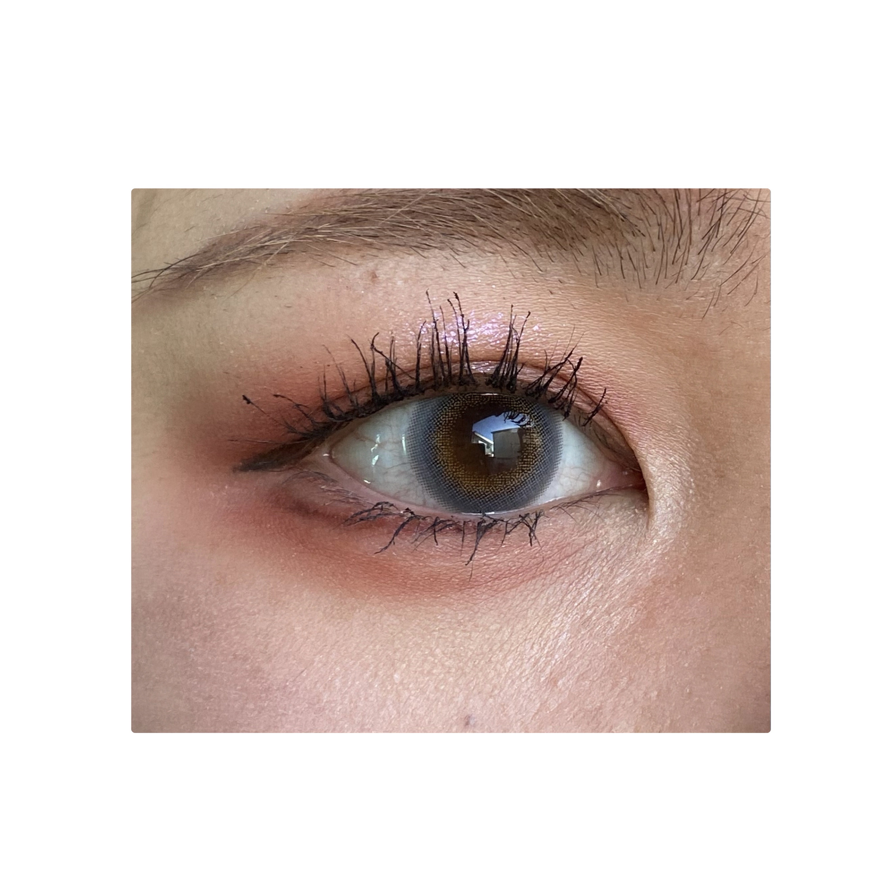 ペガビジョン 1day モイスト/CRUUM/ワンデー（１DAY）カラコンを使ったクチコミ（2枚目）