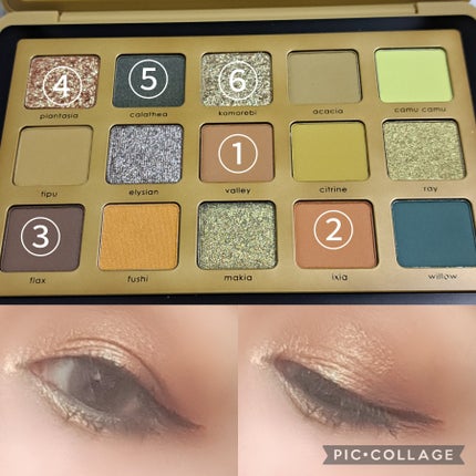 YUCCA PALETTE/Natasha Denona/アイシャドウパレットを使ったクチコミ(3枚目)