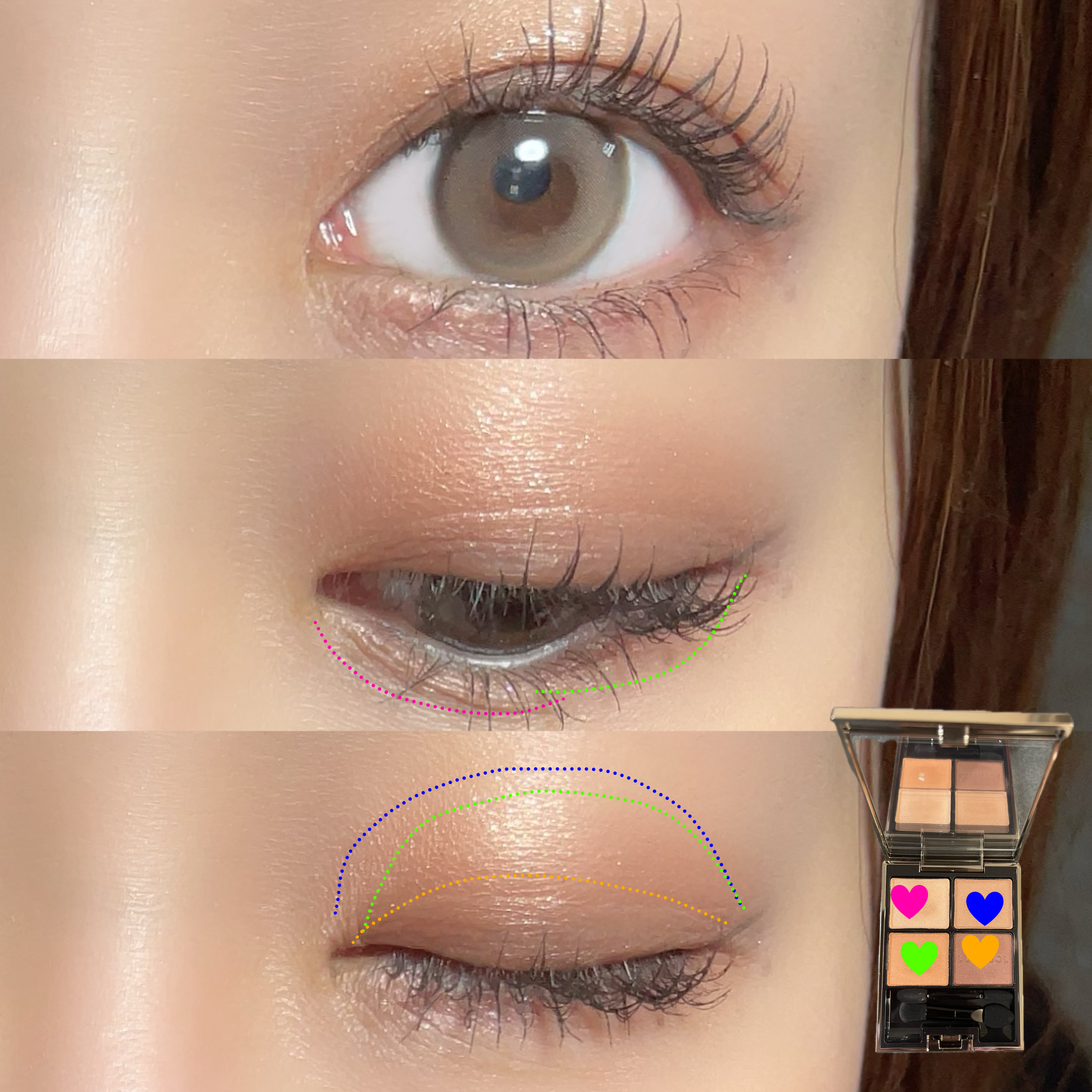 アイカラーレーション/LUNASOL/アイシャドウパレットを使ったクチコミ（2枚目）