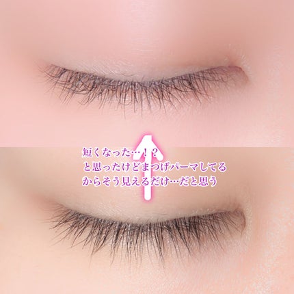 ラッシュジェリードロップ EX/MAJOLICA MAJORCA/まつげ美容液を使ったクチコミ(3枚目)