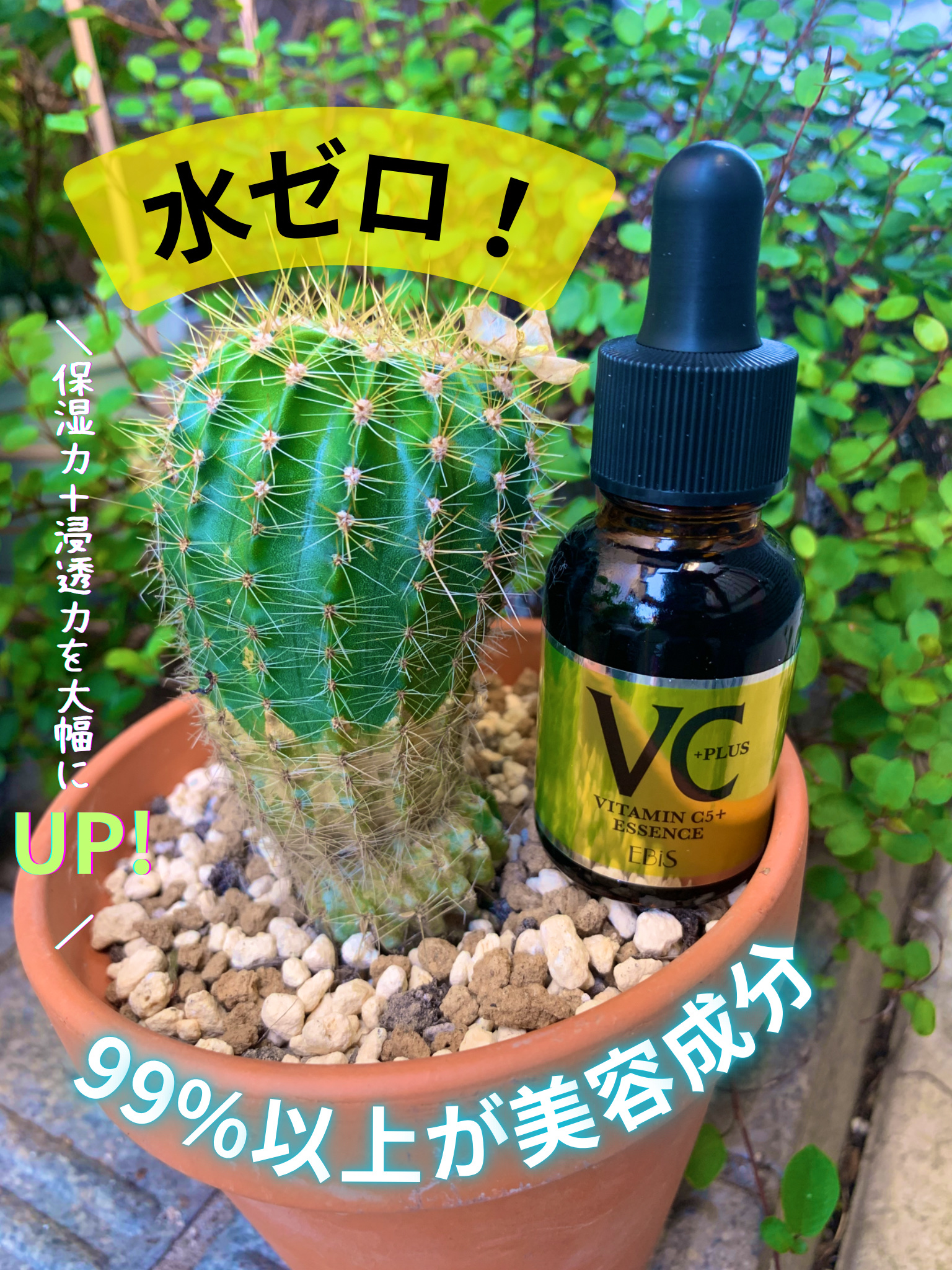 Cエッセンス/EBiS化粧品/美容液を使ったクチコミ（1枚目）