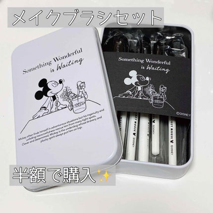 メイクブラシ レディ ブルーム ナチュラル/ディズニーストア/メイクブラシを使ったクチコミ(1枚目)