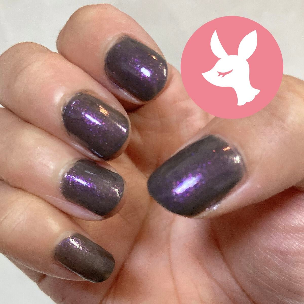 ネイルカラー/ANNA SUI/マニキュアを使ったクチコミ(2枚目)