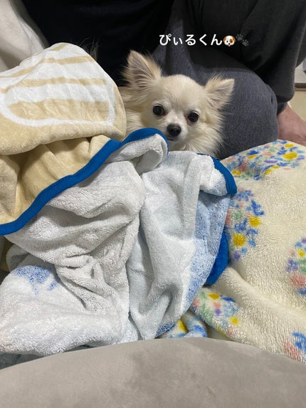 シアーチークデュオ/TOM FORD BEAUTY/パウダーチークを使ったクチコミ(8枚目)