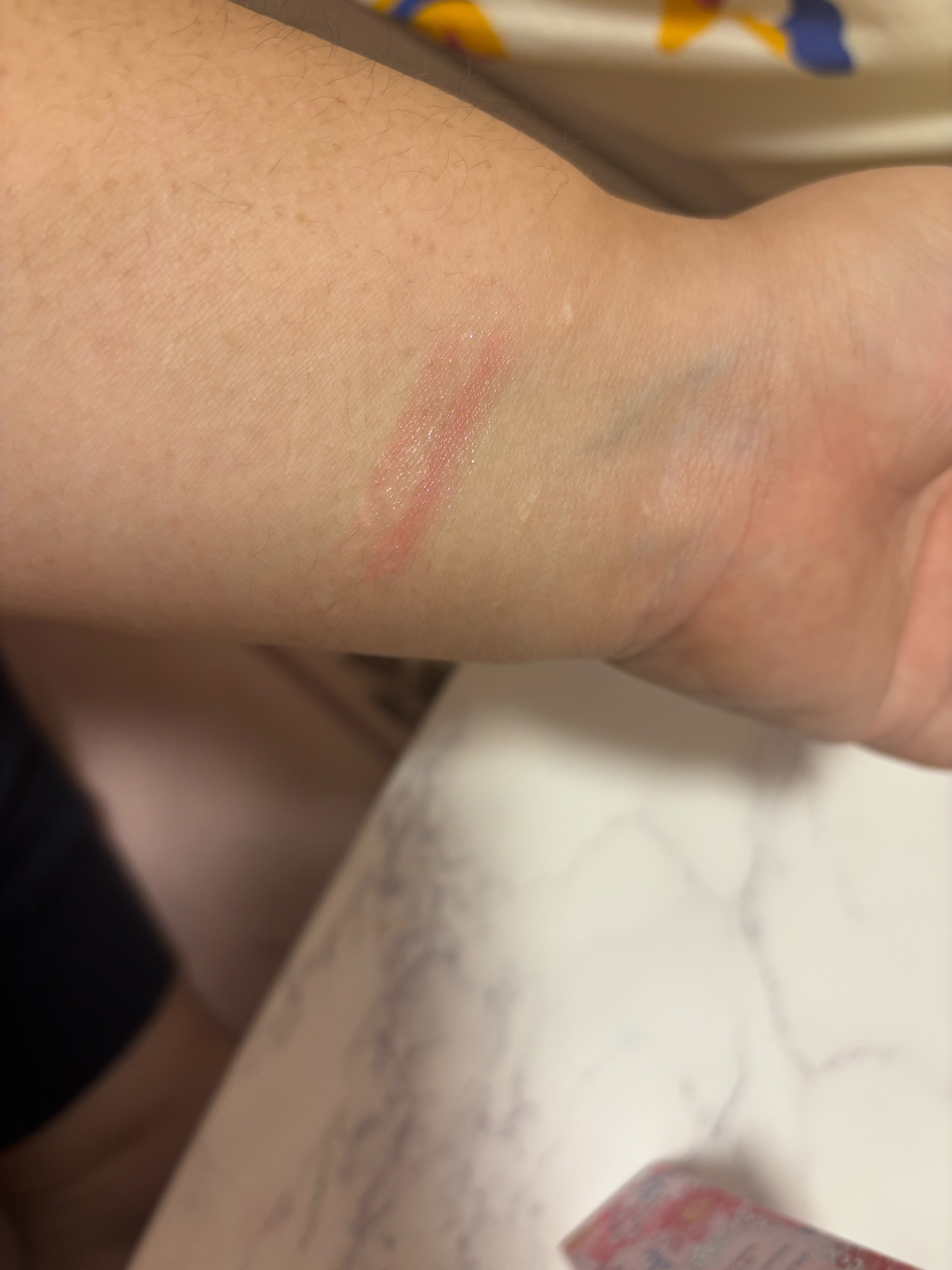 ジルスチュアート ブルーム リップ キャンディ 11 gerbera song/JILL STUART/口紅を使ったクチコミ（3枚目）