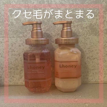 &honey Melty モイストリペア シャンプー1.0／モイストリペア ヘアトリートメント2.0/&honey/シャンプー・コンディショナーを使ったクチコミ（1枚目）