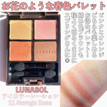 オーロライズアイズ/LUNASOL/アイシャドウパレットを使ったクチコミ（3枚目）