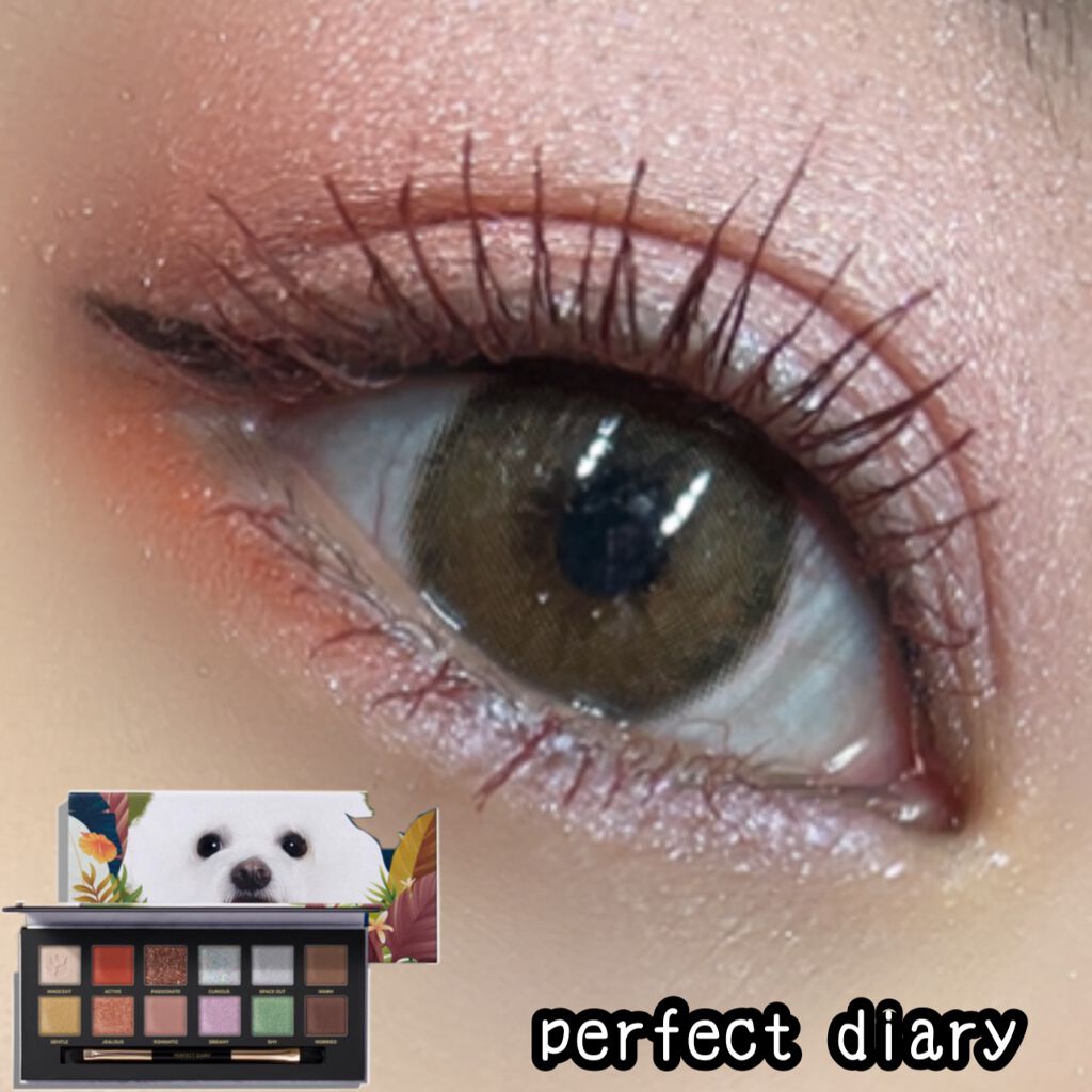 エクスプローラ12色 動物アイシャドウパレット/PERFECT DIARY/アイシャドウパレットを使ったクチコミ（3枚目）
