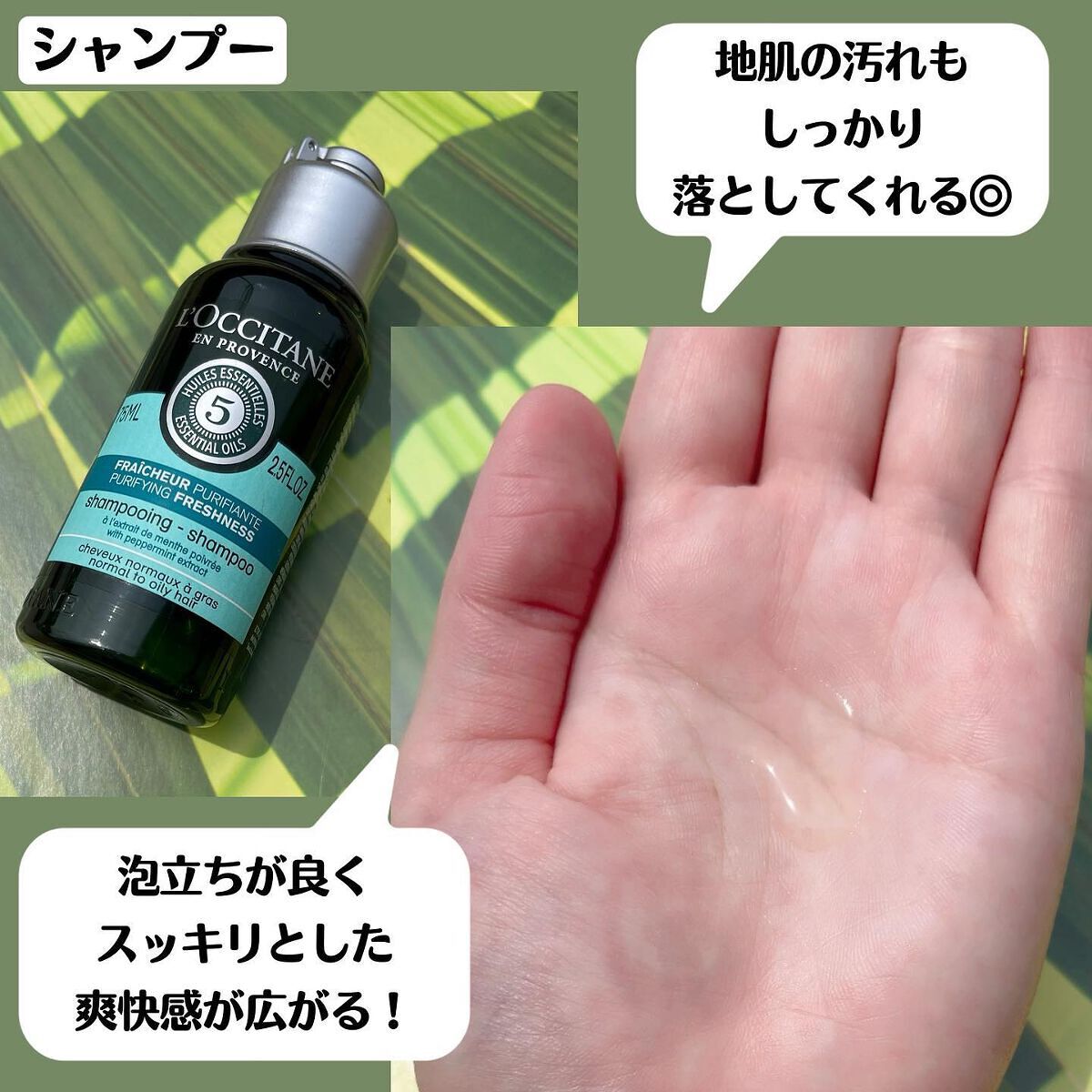 ファイブハーブス ピュアフレッシュネス シャンプー／コンディショナー/L'OCCITANE/市販シャンプーを使ったクチコミ（3枚目）