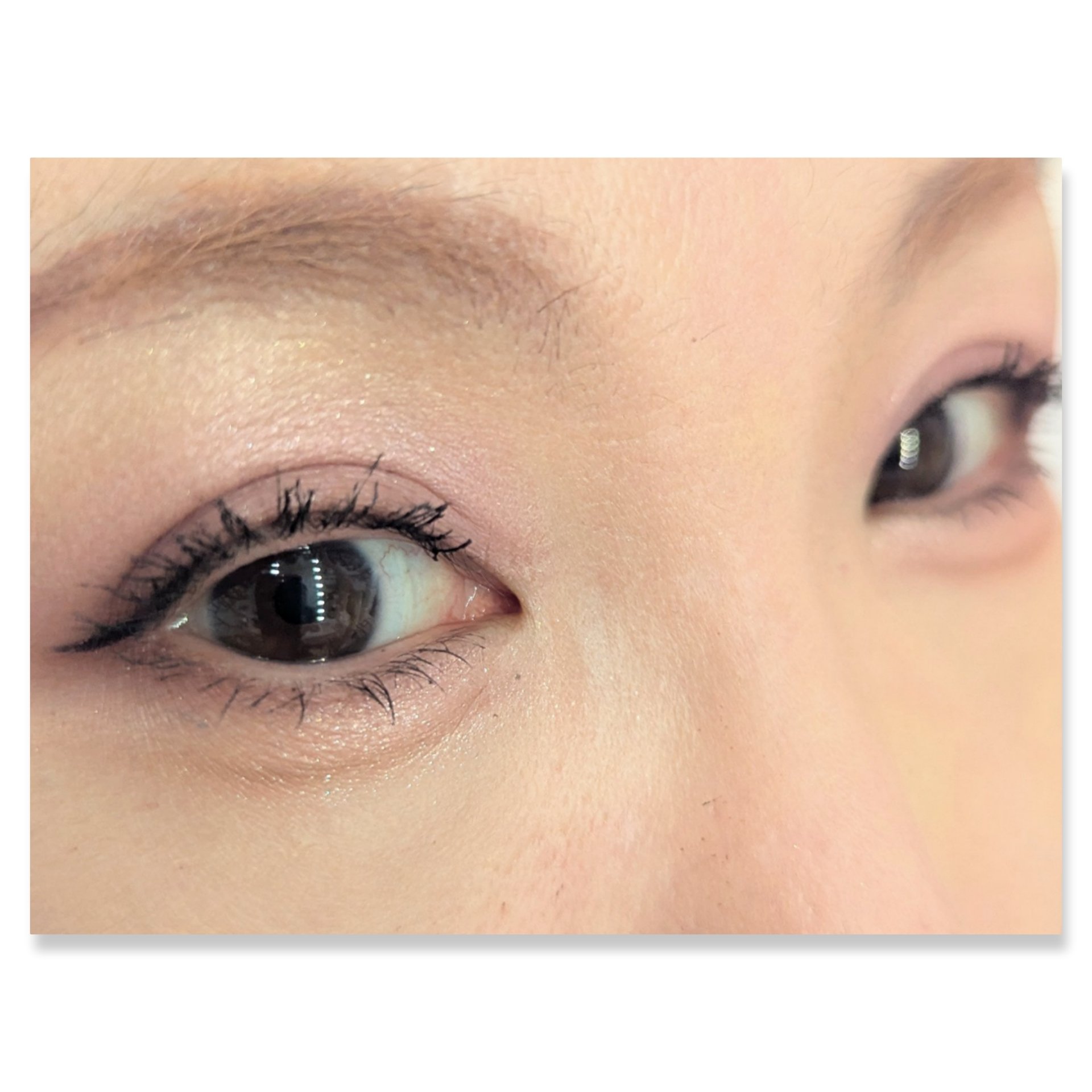 セレクト アイカラー Ｎ/ESPRIQUE/単色アイシャドウを使ったクチコミ（2枚目）