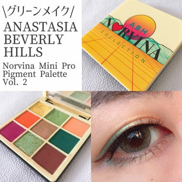 Mini Pro Pigment Palette Vol. 2 limited edition/アナスタシア ビバリーヒルズ/アイシャドウパレットを使ったクチコミ（1枚目）