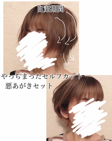 新名(仕事の都合により更新ストップ中) on LIPS 「【やめときゃ良かったセルフカット。。だが諦めが悪い私の悪あがき..」（1枚目）