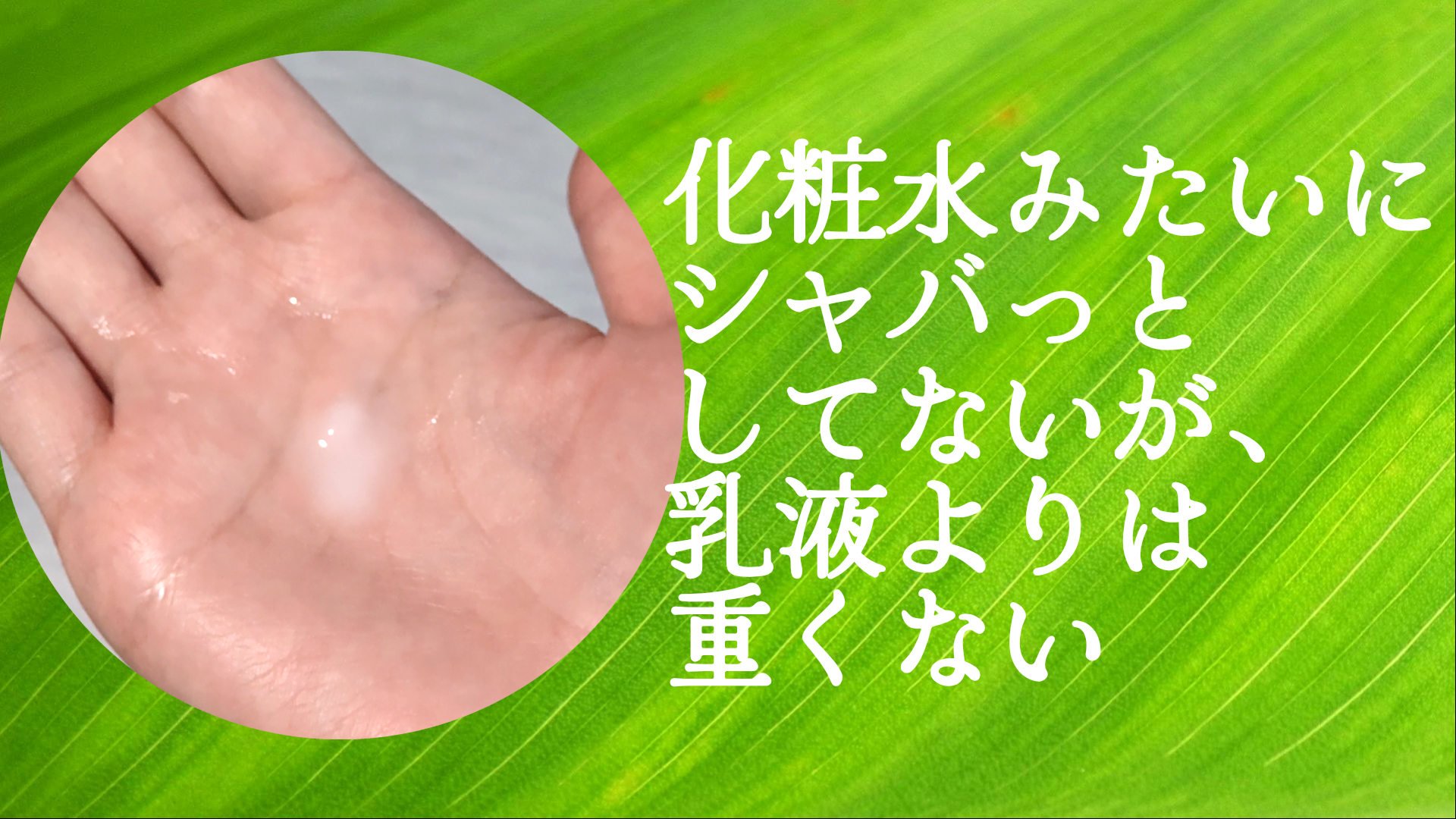 ディープグリーンティーローション 120ml /BENTON/乳液を使ったクチコミ（2枚目）