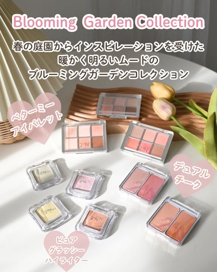 デュアルチーク/2aN/パウダーチークを使ったクチコミ(10枚目)