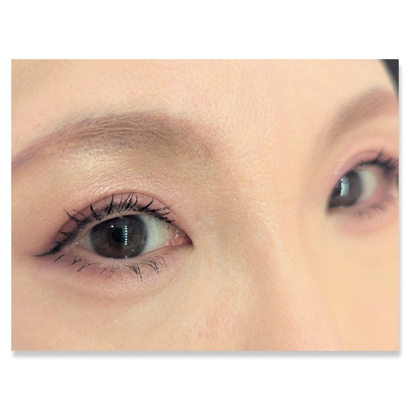 シルキースフレアイズ(マットタイプ)/キャンメイク/アイシャドウパレットを使ったクチコミ(2枚目)