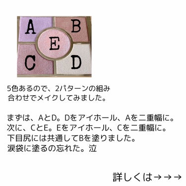 ファイブレイヤーズシャドウ N/excel/アイシャドウパレットを使ったクチコミ（2枚目）