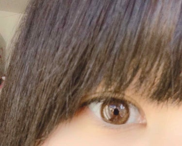 切実に  橋本環奈  なりたいわ

橋本環奈かわええ！目が綺麗！
うらやま！

ということで、

今回レビューするのは、
ビュームワンデー  スウィートアンバーです。

初カラコン✨
いつもは普通のクリアレンズを着用してます。

写真は1枚目がクリアで2枚目がカラコンです。

私は裸眼が結構暗めなので、浮いちゃうかな〜って思ったんですけど、全然大丈夫でした！

これでブスじゃなきゃ橋本環奈なのにな〜((

度ありでも2000しないくらいで購入出来るので、ぜひ試して見てくださいな〜

の画像 その2