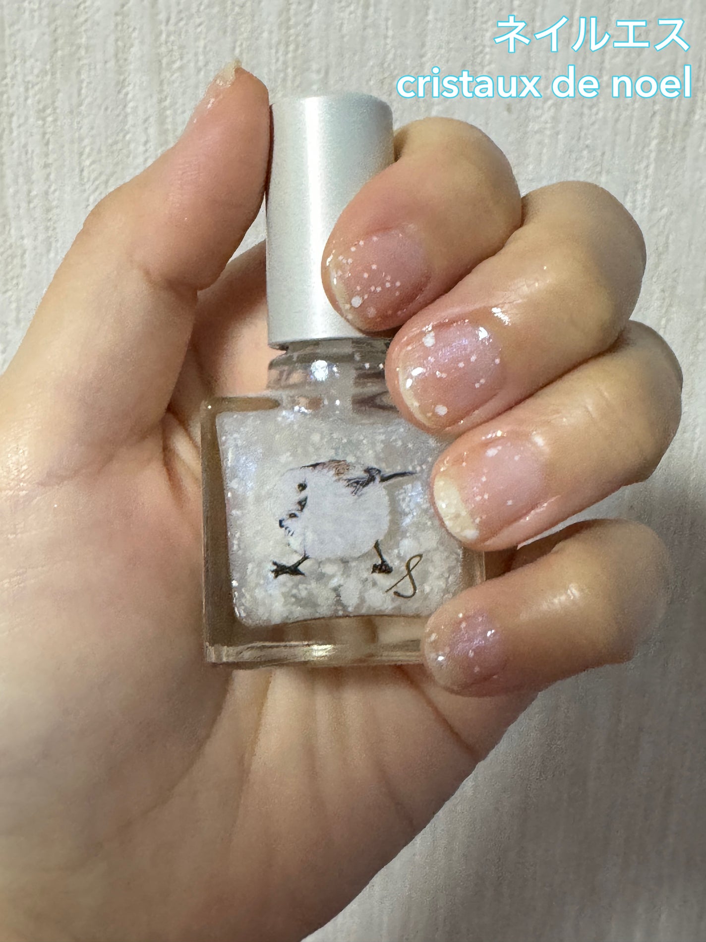ハイネ@フォロバ100%(条件あり) on LIPS 「ネイルエスcristauxdenoel2380円(税込)202..」(1枚目)