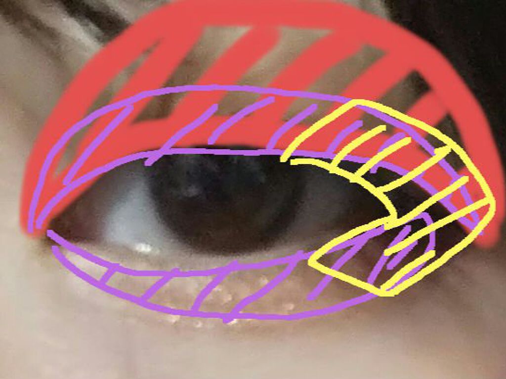 UR GLAM　BLOOMING EYE COLOR PALETTE/U R GLAM/アイシャドウパレットを使ったクチコミ（3枚目）