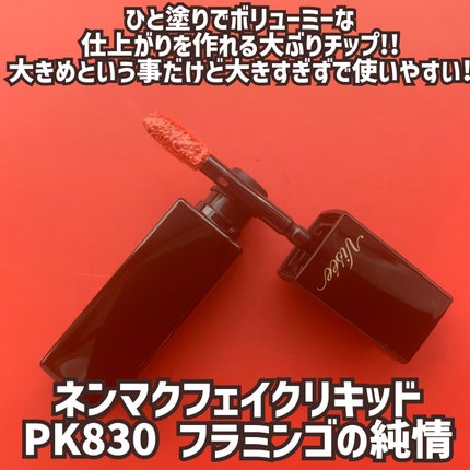 ネンマクフェイク リキッド/Visée/口紅を使ったクチコミ(3枚目)