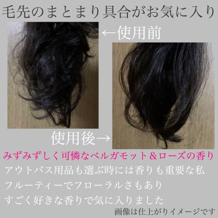 ボタニカル モイスト リペア ヘアオイル/SSビオリス/ヘアオイルを使ったクチコミ(3枚目)