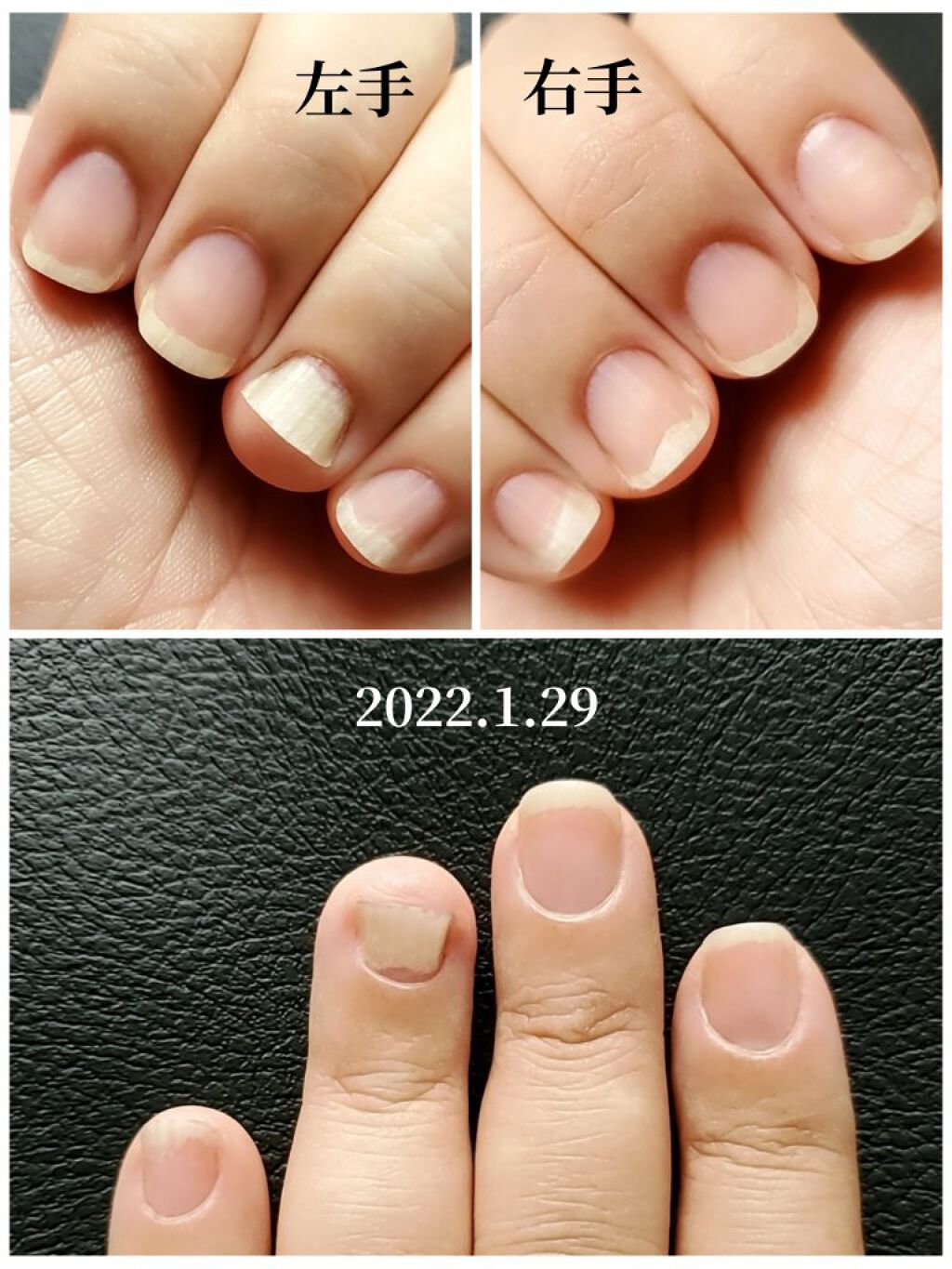 ハンドクリーム(グレープフルーツ)/ロゴナ/ハンドクリームを使ったクチコミ（2枚目）