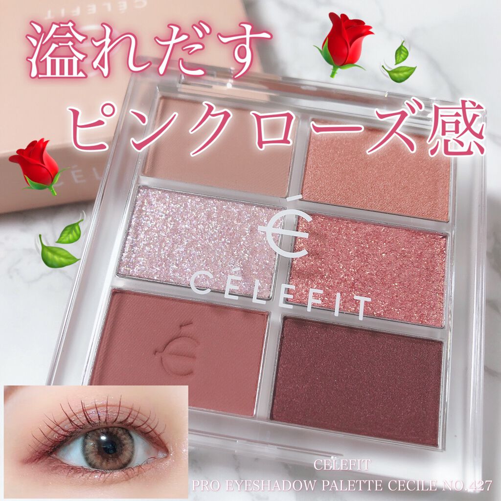 プロアイシャドウパレットセシル/CELEFIT/アイシャドウパレットを使ったクチコミ(1枚目)