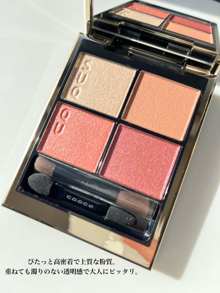 シグニチャー カラー アイズ/SUQQU/アイシャドウパレットを使ったクチコミ(6枚目)