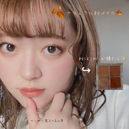 ドレッシーシャドウR/CipiCipi/アイシャドウパレットを使ったクチコミ(1枚目)