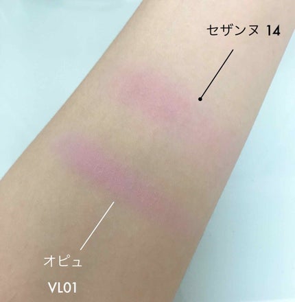 ナチュラル チークN/CEZANNE/パウダーチークを使ったクチコミ(2枚目)