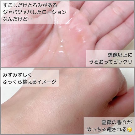 ワイルドローズ モイスチャーローション/WELEDA/化粧水を使ったクチコミ(2枚目)