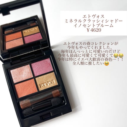 ミネラルクラッシィシャドー/エトヴォス/アイシャドウパレットを使ったクチコミ(2枚目)
