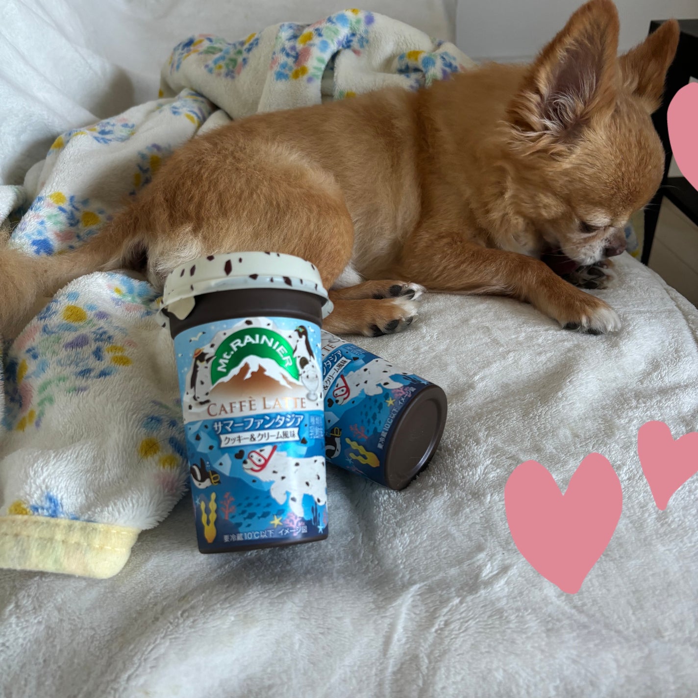 ぷぅぴぃ《紫コス部💜💗》 on LIPS 「またまた#あやかちゃん買い🩷マウントレーニア🗻カフェラッテ⛰サ..」(4枚目)