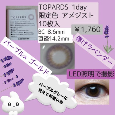 TOPARDS 1day アメジスト（限定色）/TOPARDS/ワンデー（１DAY）カラコンの画像