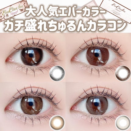 エバーカラーワンデー ナチュラル/エバーカラー/ワンデー(1DAY)カラコンを使ったクチコミ(1枚目)