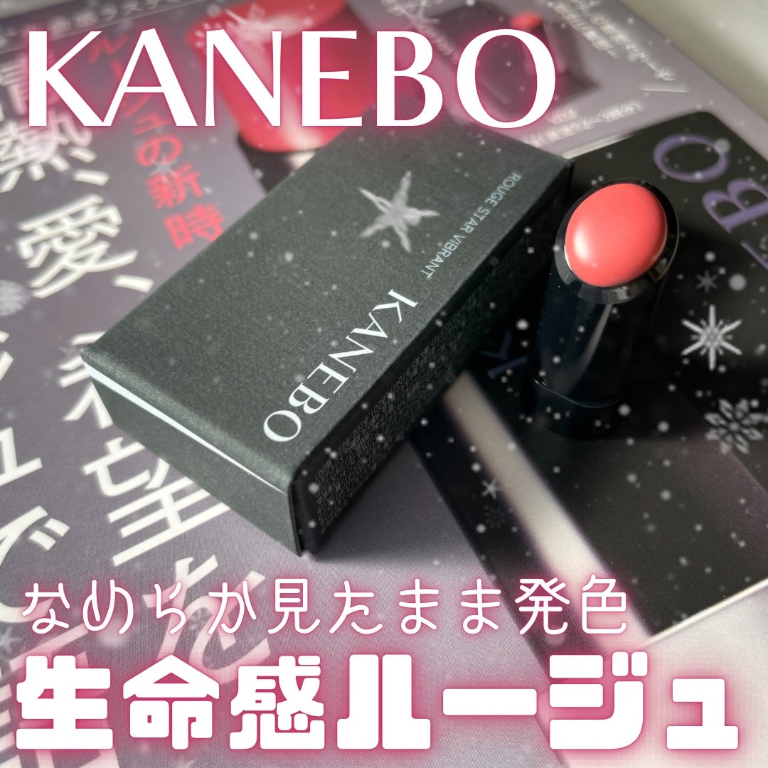 ルージュスターヴァイブラント/KANEBO/口紅を使ったクチコミ(1枚目)