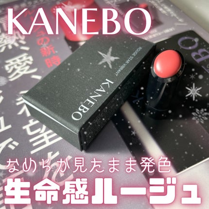 ルージュスターヴァイブラント/KANEBO/口紅を使ったクチコミ(1枚目)