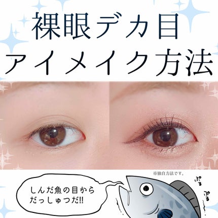 ロング&カールマスカラ アドバンストフィルム/ヒロインメイク/マスカラを使ったクチコミ(1枚目)