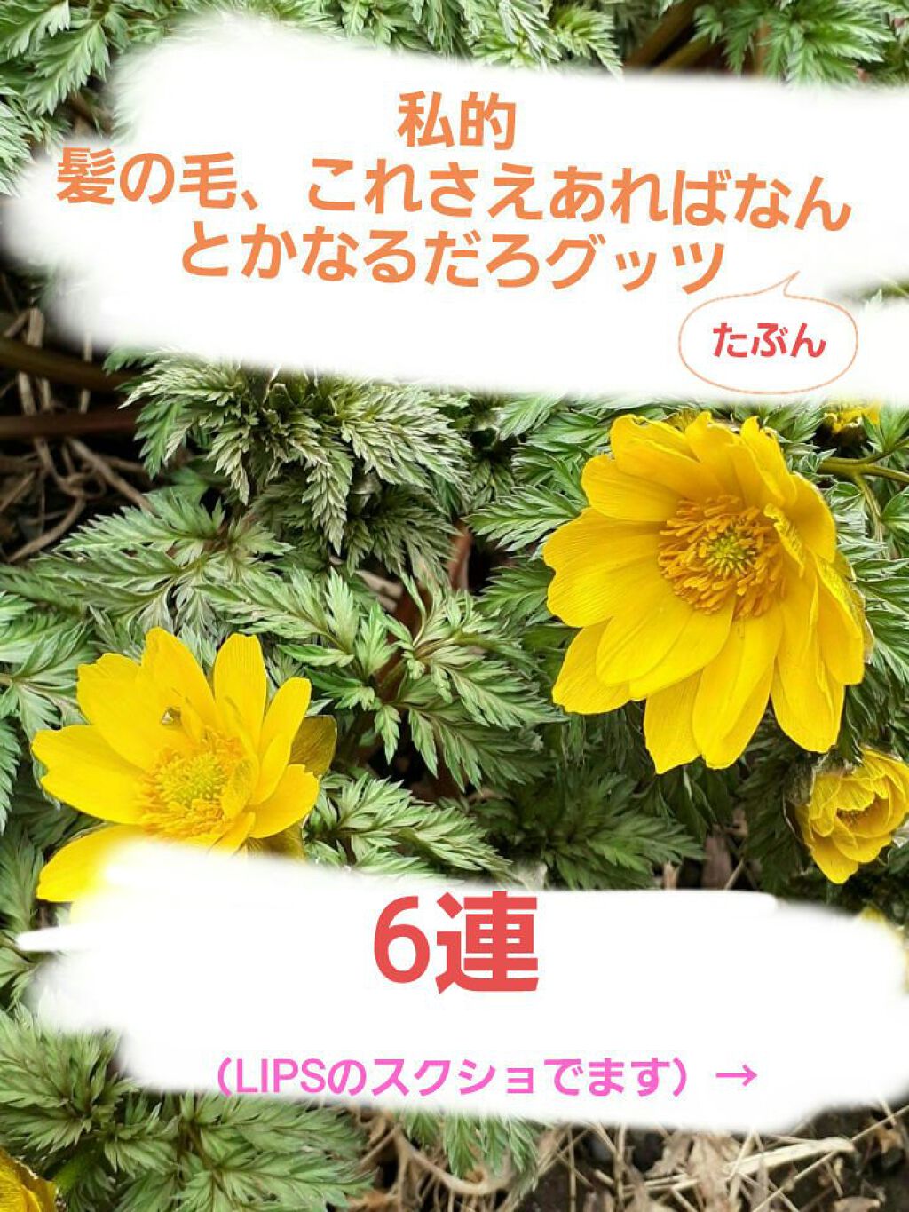 フィーノ　プレミアムタッチ　濃厚美容液ヘアマスク/フィーノ/ヘアマスク・ヘアパックを使ったクチコミ（2枚目）