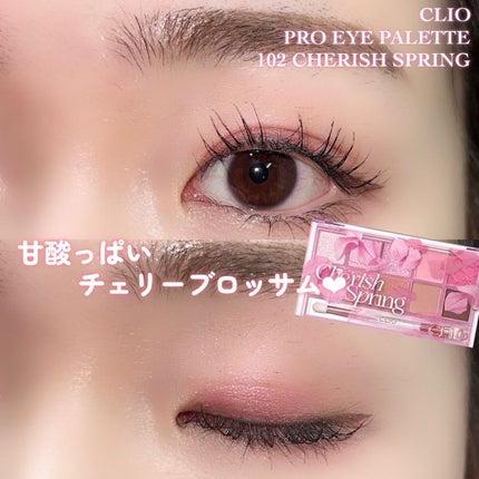 プロ アイ パレット/CLIO/アイシャドウパレットを使ったクチコミ(5枚目)