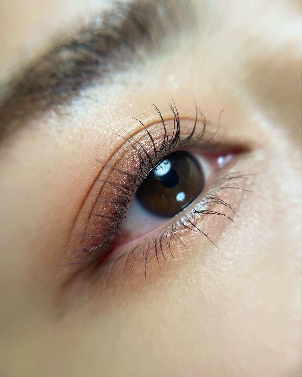 【旧】サンク クルール クチュール/Dior/アイシャドウパレットを使ったクチコミ（2枚目）