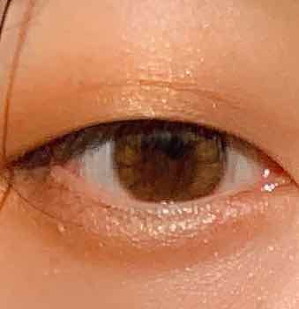 スキニーリッチシャドウ/excel/アイシャドウパレットを使ったクチコミ（2枚目）